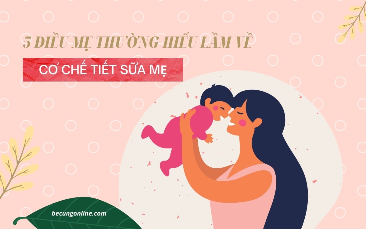 5 điều hiểu lầm cơ chế tiết sữa mẹ