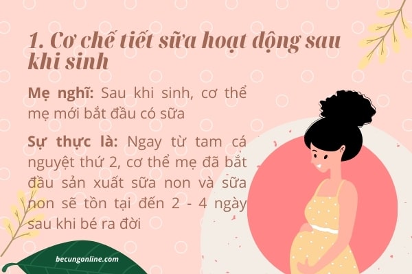 5 điều hiểu lầm cơ chế tiết sữa mẹ