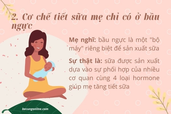 - 15 điều mẹ hiểu lầm về cơ chế tiết sữa - 2