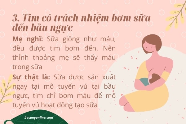 5 điều mẹ hiểu lầm về cơ chế tiết sữa - 3