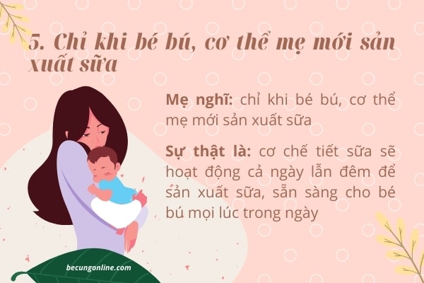 5 điều mẹ hiểu lầm về cơ chế tiết sữa - 4