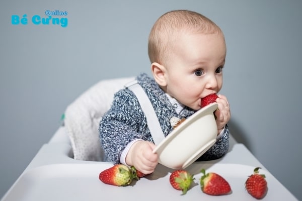 tọp 5 dụng cu an dam cho be